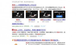 新闻爆料已被收录怎么办,揭秘事件进展与传播路径